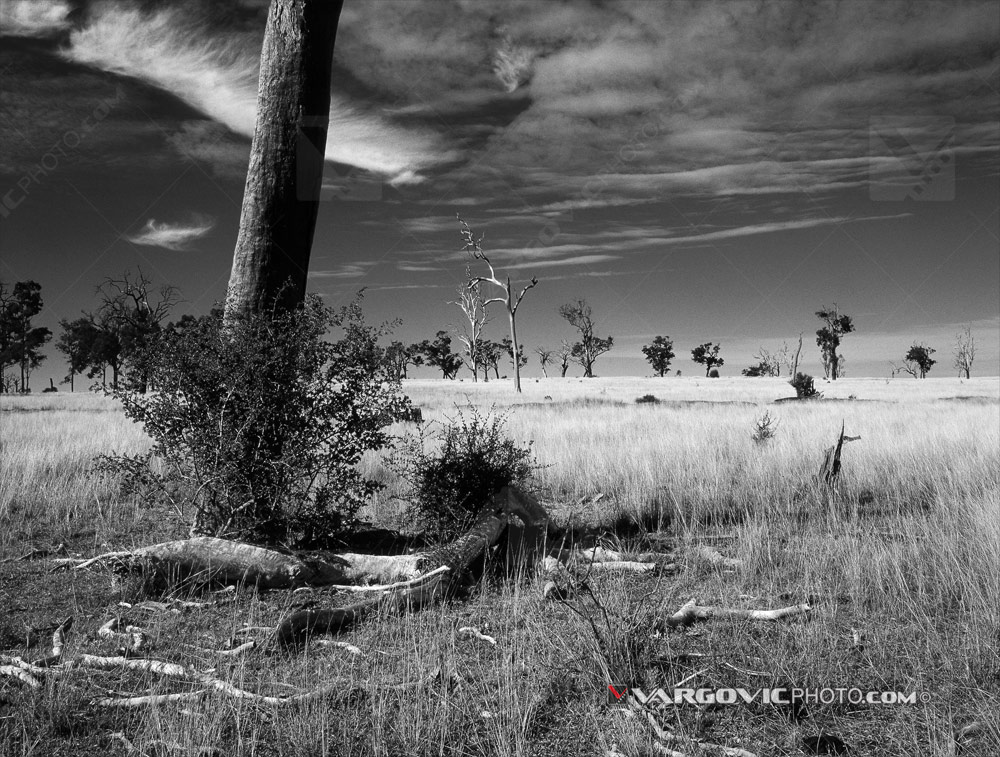 Australian landscape in the state of New South Wales by Boris Vargovic