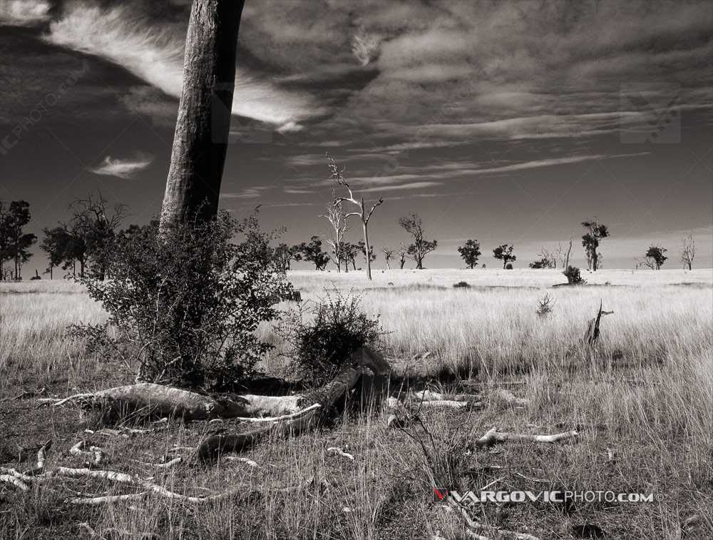 Australian landscape in the state of New South Wales by Boris Vargovic