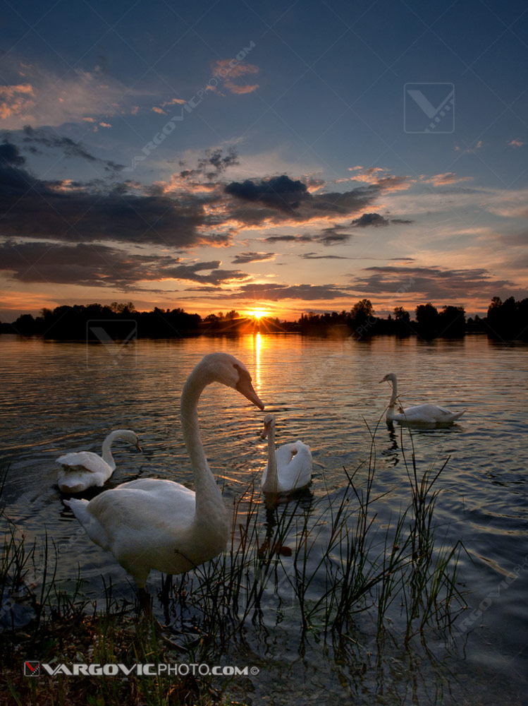 Magnicifient sunset on the Soderica lake in Croatian Podravina district