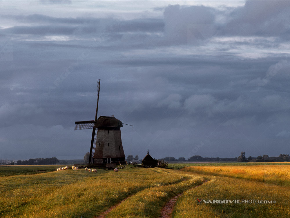 Late afternoon golden sun atmosphere on the small family windmill farm in northern Holland on the way of art photographer Boris Vargovic