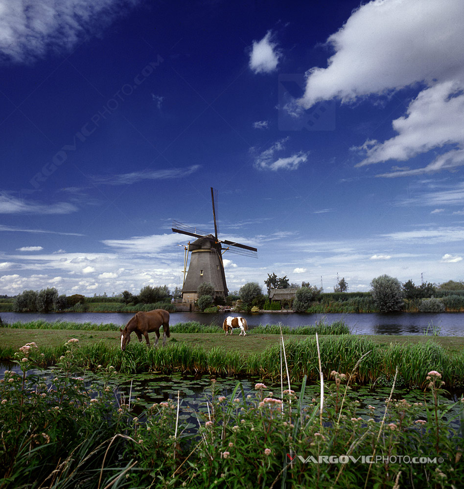 Late afternoon scennery in Kinderdijk on the south of Holland by Vargovicphoto