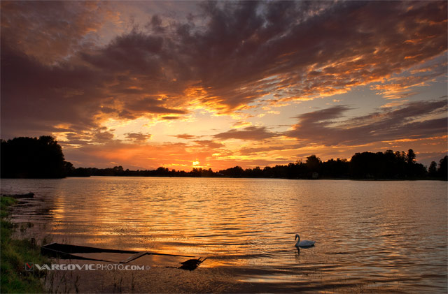 I-Would-Rather-Be-Alone_Soderica-Lake_Podravina_Croatia_Red-Sky_Swan_Vargovic-Boris