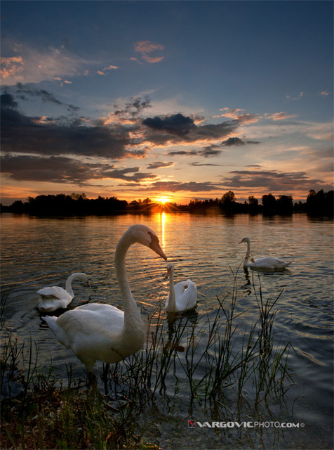 In-Love-With-Day's-End_Soderica-Lake_Podravina_Croatia_By-Boris-Vargovic-Fine-Art-Photography