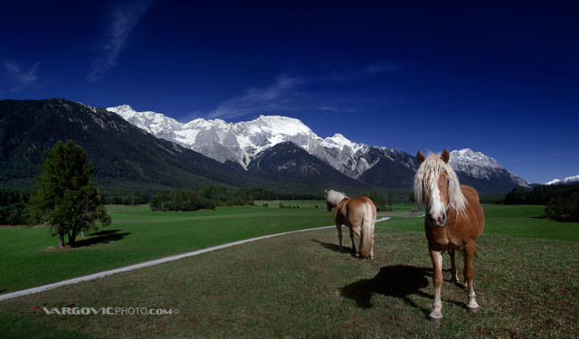 Should-I-Stay-Or-Should-I-Go_Austria_Insbruck_European-Alps_Mountains_Snowy-Hills_By-Boris-Vargovic